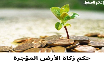 توضيح حكم زكاة الأرض الزراعية المؤجرة وفقًا للفقهاء