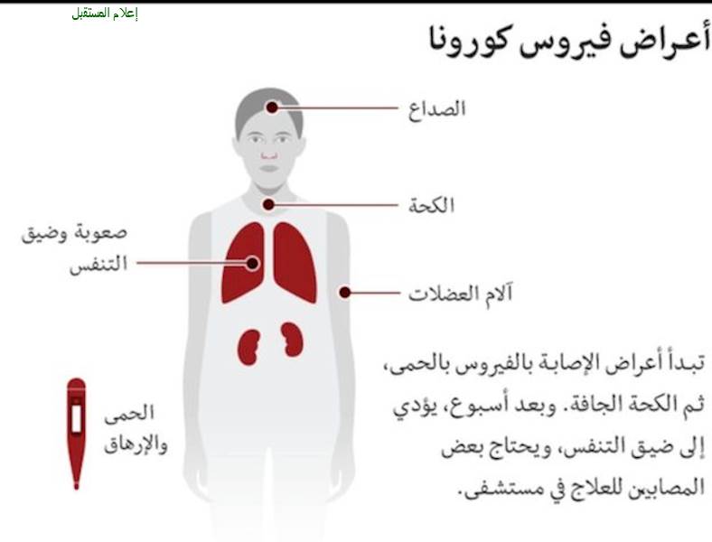 كيف تحمي نفسك من كورونا اثناء التسوق