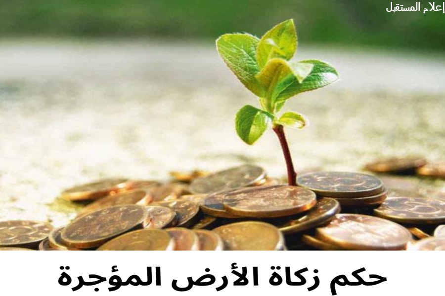 توضيح حكم زكاة الأرض الزراعية المؤجرة وفقًا للفقهاء